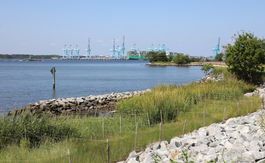 The newly completed living shoreline at Norfolk Southern's Lambert's Point coal terminal in Norfolk on Aug. 25, 2026.