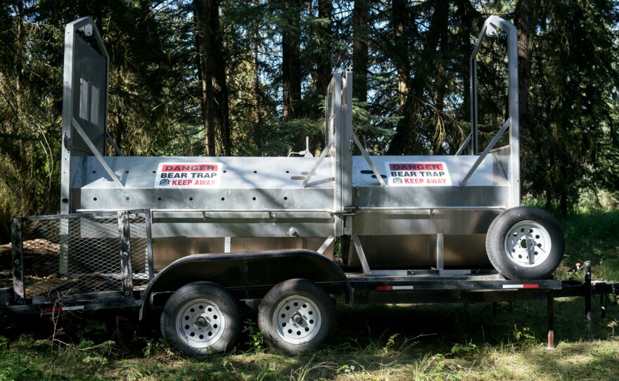 A culvert trap meant for a family of grizzly bears near Polson, Montana.