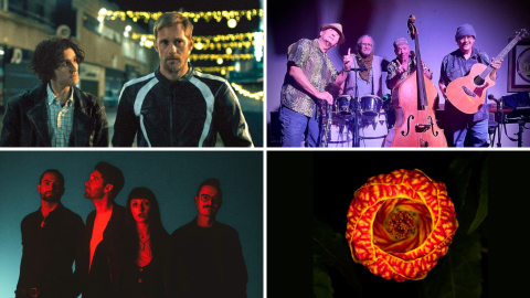 From left to right: Pillion, Surf Noir Kings, Bloodsugar and Foster Care Museum, Small Wonders, Uninvited Guests