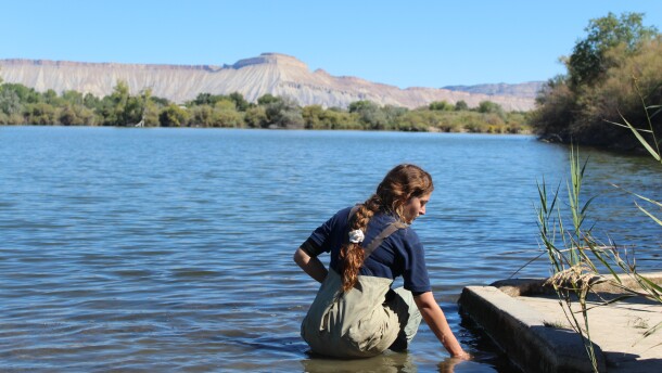 A woman wears waders as she stands in a lake near mountains.