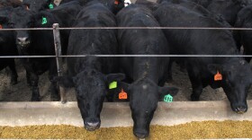 Cattle farmers are expected to see lower profits this year.
