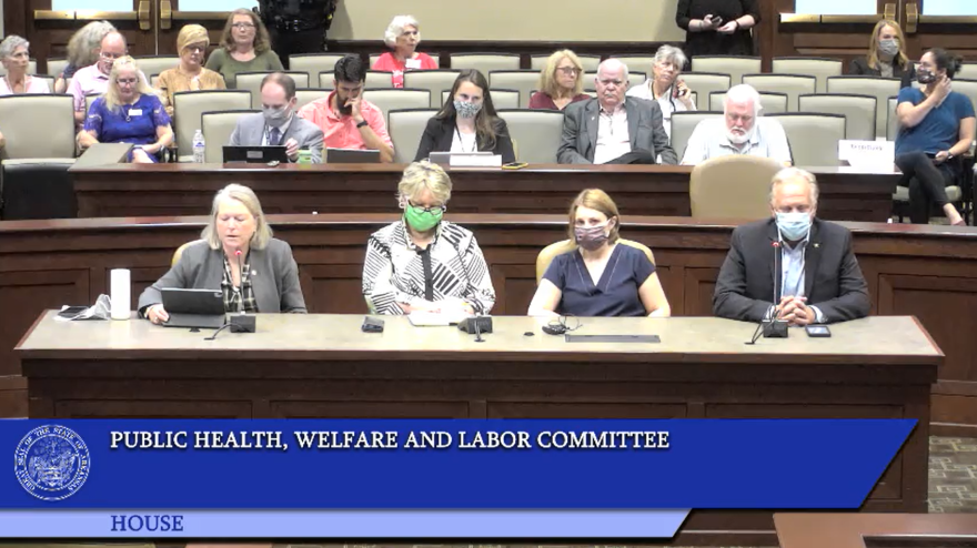 Rep. Tippi McCullough (far left) presents House Bill 1004 to the House Public Health, Welfare and Labor committee