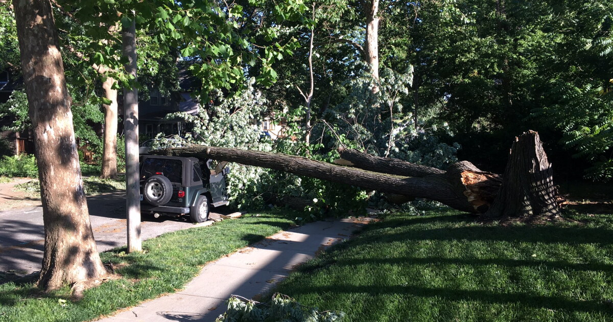 Storms Sweep Through Kansas City Metro, Causing Wind Damage And Power ...