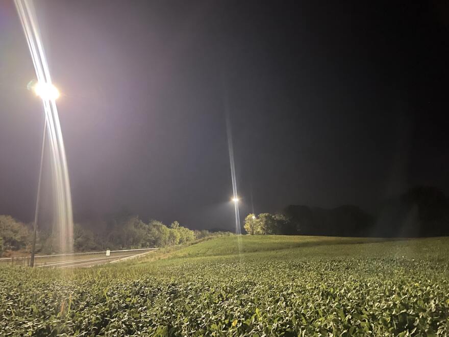 Highway lighting shines on crops off of Interstate 69 interchange at Wingo.