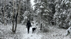 Early season snow is less common in Fairbanks than it used to be.