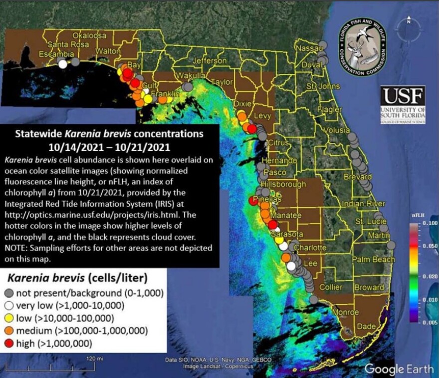 Red tide is continuing to thrive up and down Florida's Gulf coast | WUSF