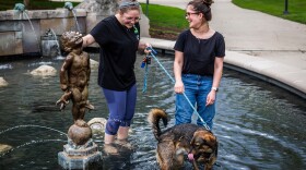 Indiana students make up 91 percent of Ball State's freshman class.