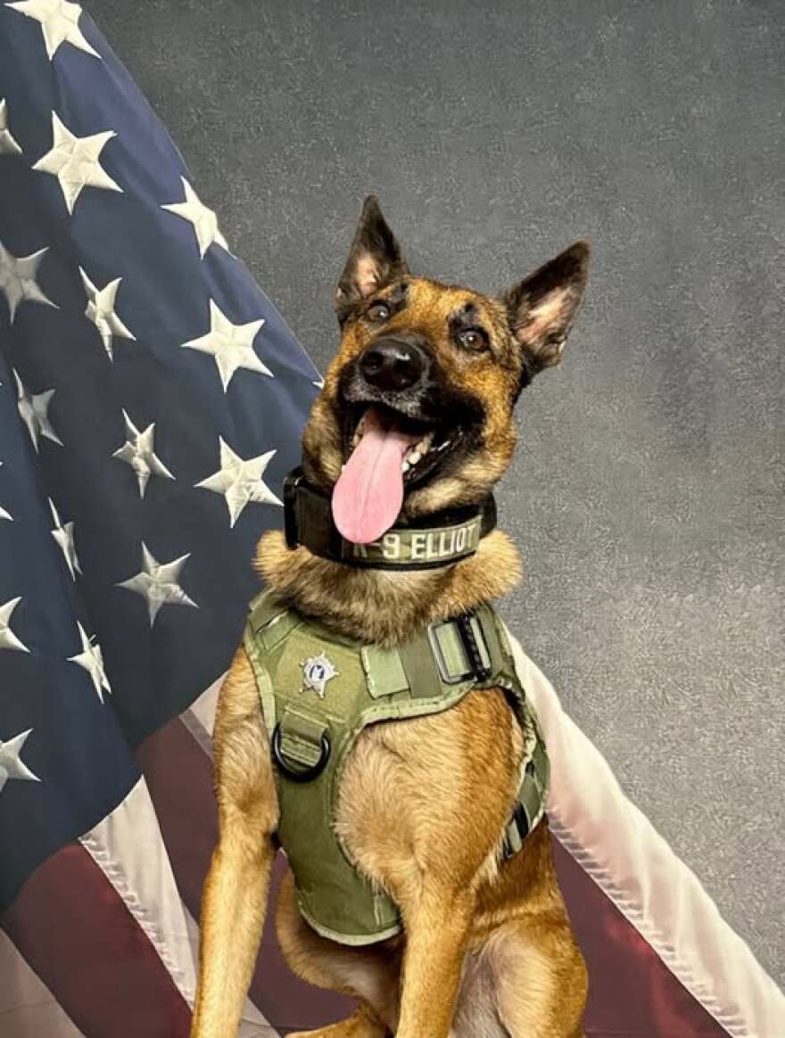 Officials with the Craven County Sheriff’s Office said the child walked away from their home in Vanceboro, an K9 Elliot found them in the woods.