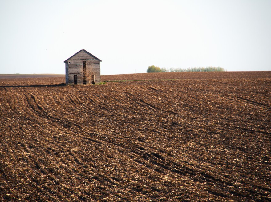 But last Friday, driving across the state, I told myself that I've become enough of an Iowan to be blessed with what I witnessed through endless open fields, a once-a-year moment, a special blessing.