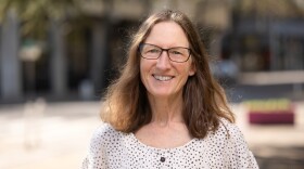 Photo of Karen Richards Reporter and Host