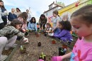 Children fill the plant boxes with basit, tomato and pepper plants.