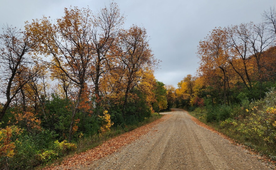 Des Lacs National Wildlife Refuge south of Kenmare, North Dakota.