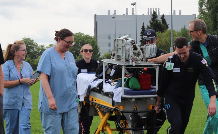 Police officers and veterinary staff pull a stretcher across a grassy field.