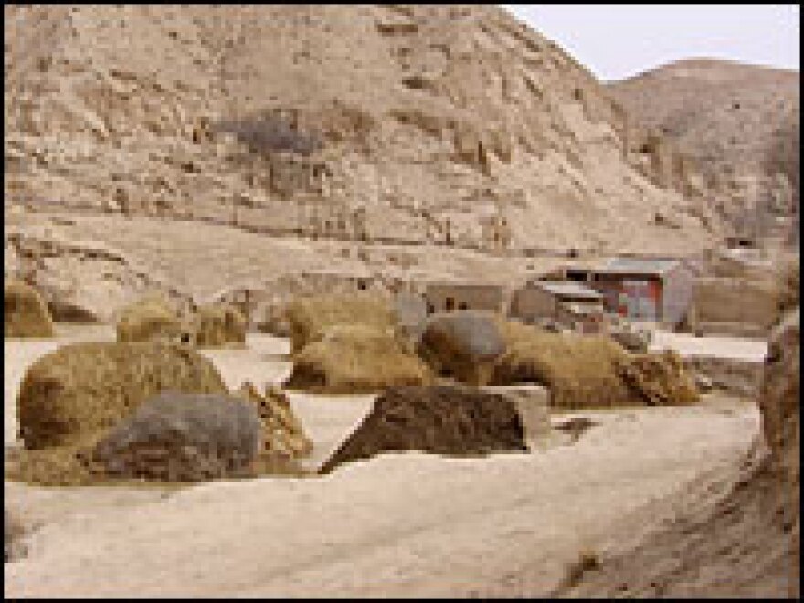 The village of Dalaochi in China's Gansu province blends in with the khaki-colored landscape.