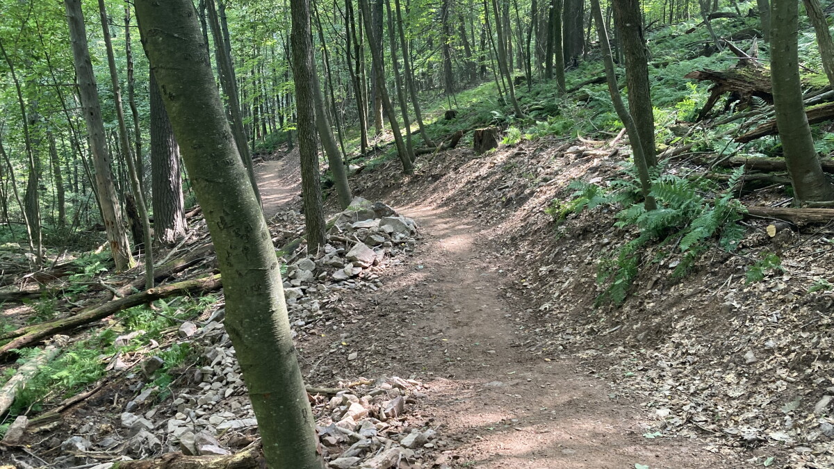 53 miles of new trails planned for Rothrock State Forest - Vimarsana News