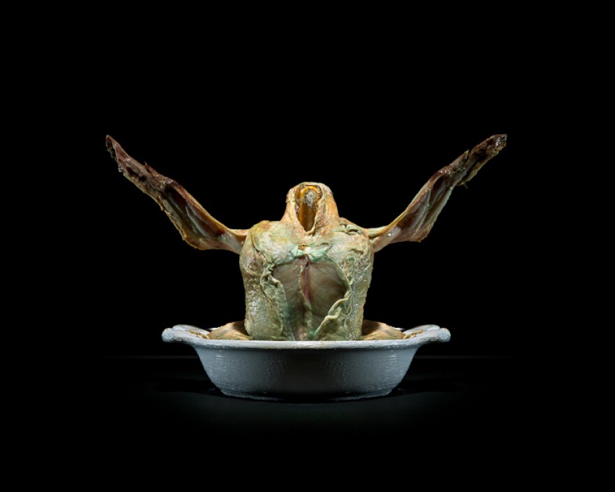 Chicken | Place of production: Behamberg, Austria | Transporting distance: 183 km | Carbon footprint (total) per kg: 3,54 kg | Water requirement (total) per kg: 1551 L