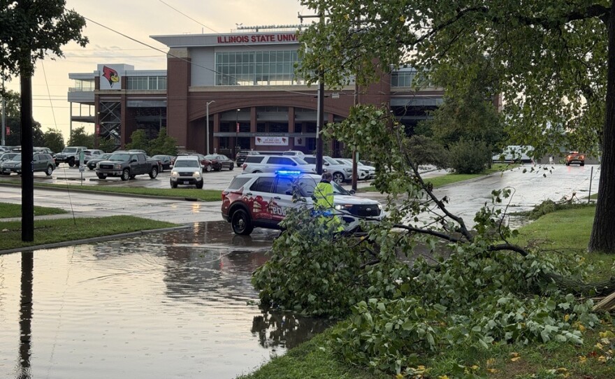 High winds and heavy rain led to downed trees, power outages and flooded streets across Bloomington-Normal.