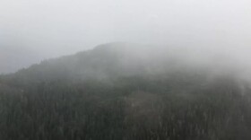 aerial view of clouds over forest