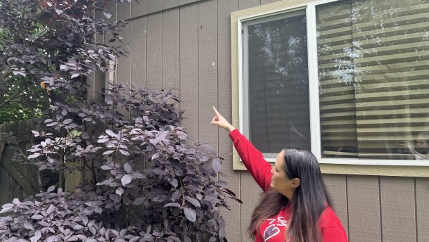 Jessie Rice points to the place she found a volleyball-sized wasp nest in the eave of her Anchorage home. It's one of three she's found this summer, keeping her and her kids out of her back yard.
