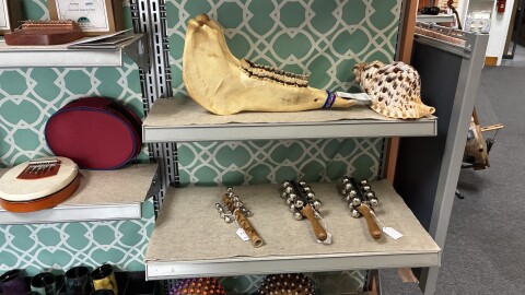 A donkey jaw sits next to a conch shell on a shelf at Lark in the Morning.