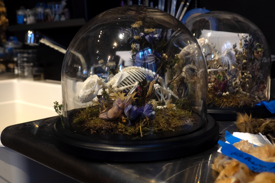 The skeleton of a rat inside a decorative glass container. Filled with flowers and grasses to make the rodent appear in nature. Sat on Dzuba's workbench.