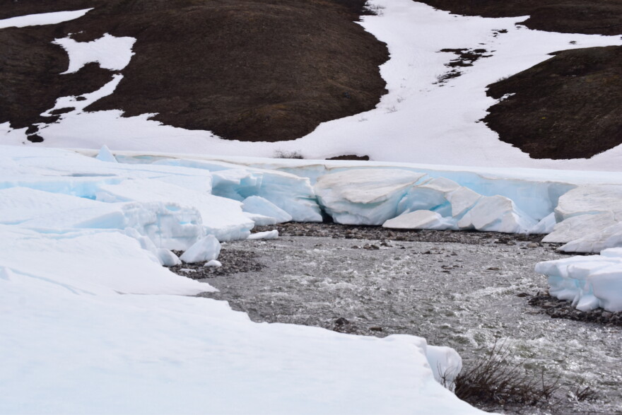 Aufeis — a German word meaning “ice on top” — on a braided floodplain on the Atigun River in the summertime.
