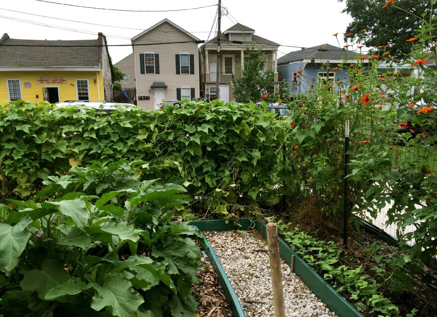 Local residents can farm plots in the ReFresh Community Garden. It's part of a health hub project established on long-vacant commercial property.