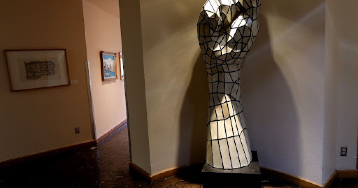 Half a century of heritage: the Dallas African American Museum ...