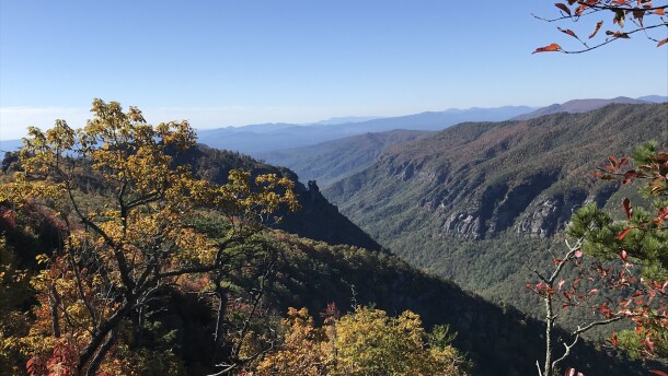 Avery County near Newland, North Carolina. DAVID FORD/WFDD