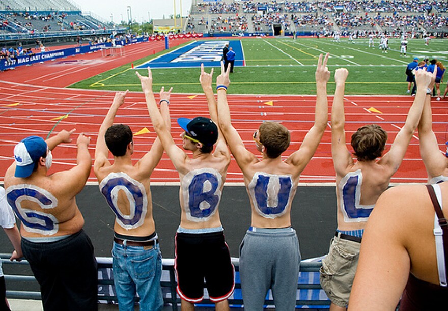 Go Bulls! In your quest to find a university president, that is.