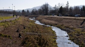 The restored bank of the Amazon Creek, Jan. 23, 2026.