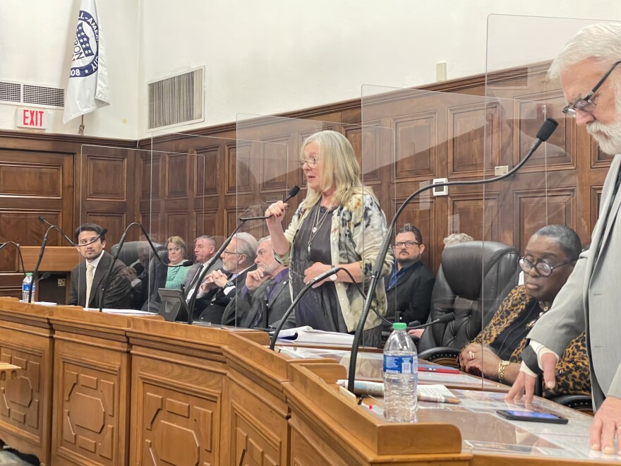 Nancy Holland speaks to Akron City Council