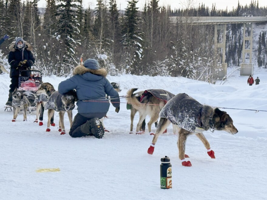 Fairbanks musher Jeff Deeter reaches the 24-hour mandatory layover Thursday, Feb. 12, 2026, about an hour and a half behind leader Josi Shelley.