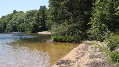 The forested shore of White Sand Lake in Vilas County, Wis. is shown on June 27, 2022. (Jim Malewitz / Wisconsin Watch)