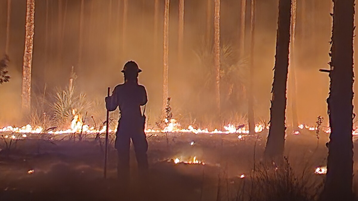Sandy Fire over 11,000 acres; some residents urged to leave - Vimarsana News
