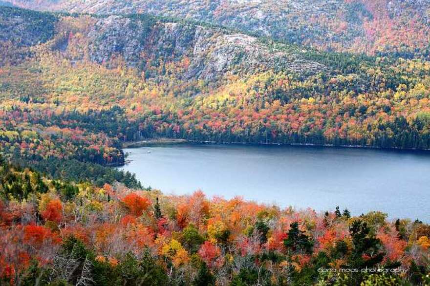 Autumn Foliage in Acadia National Park