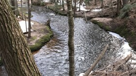 A river flows through a wooded landscape. The banks are lined with hemlock trees and half-melted piles of snow.