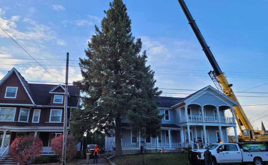 Large Spruce in front of two two-story houses. There is a crane in the background and a tree in front of the house.