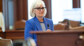 State Sen. Mary Edly-Allen on the Senate floor.