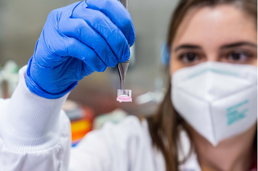 A researcher at the Fralin Biomedical Research Institute holds up a 3-D model of a tumor, created as part of a study to learn how different people’s cancers respond to different therapies. 