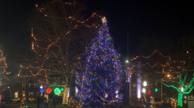 A Christmas tree with multicolored lights in Bronson Park. 