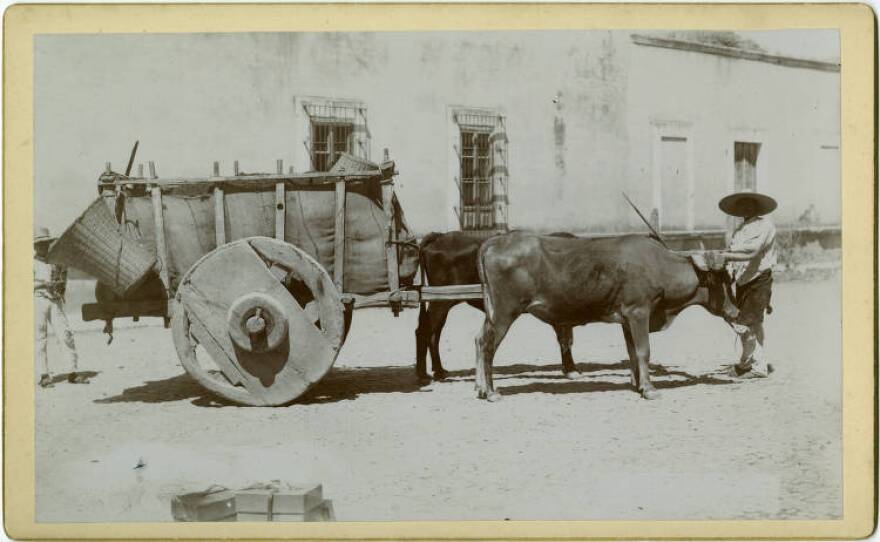 Since the early 1800s, Hispano mule-drivers (arrieros) had transported goods from the Texas coast to San Antonio and nearby communities. After Texas became a state, they were often targeted by whites intent on gaining control of the carting trade.
