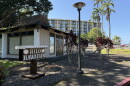 The Hilo Hawaiian Hotel ,a Trademark Collection by Wyndham, on Banyan Drive on Hawaiʻi Island in March 2026.