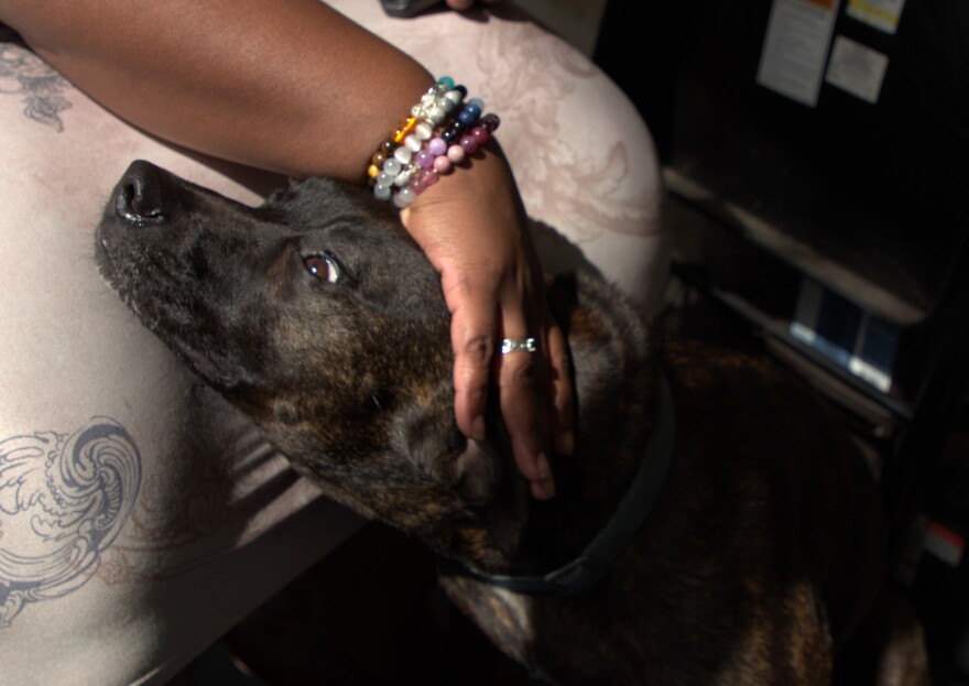 Zahra, Fields-moeller’s 2-year-old dog, is part of the household. (Maria Avlonitis/WUFT News)