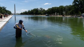 A National Park Service employee uses a vacuum to clean the Lincoln Memorial Reflecting Pool, Saturday, June 20, 2026, in Washington.