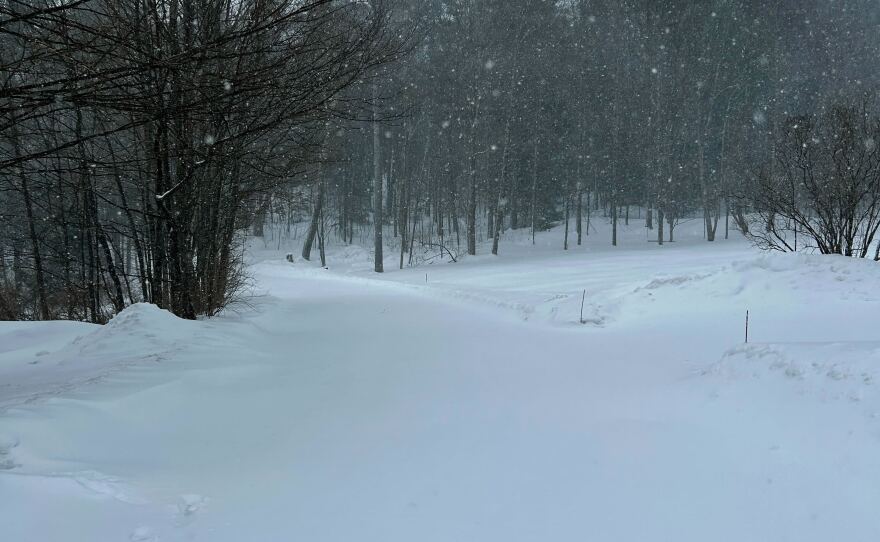 Views from NEPM staff living across western Massachusetts and Connecticut after a storm hit the region on Monday, Feb. 23, 2026.