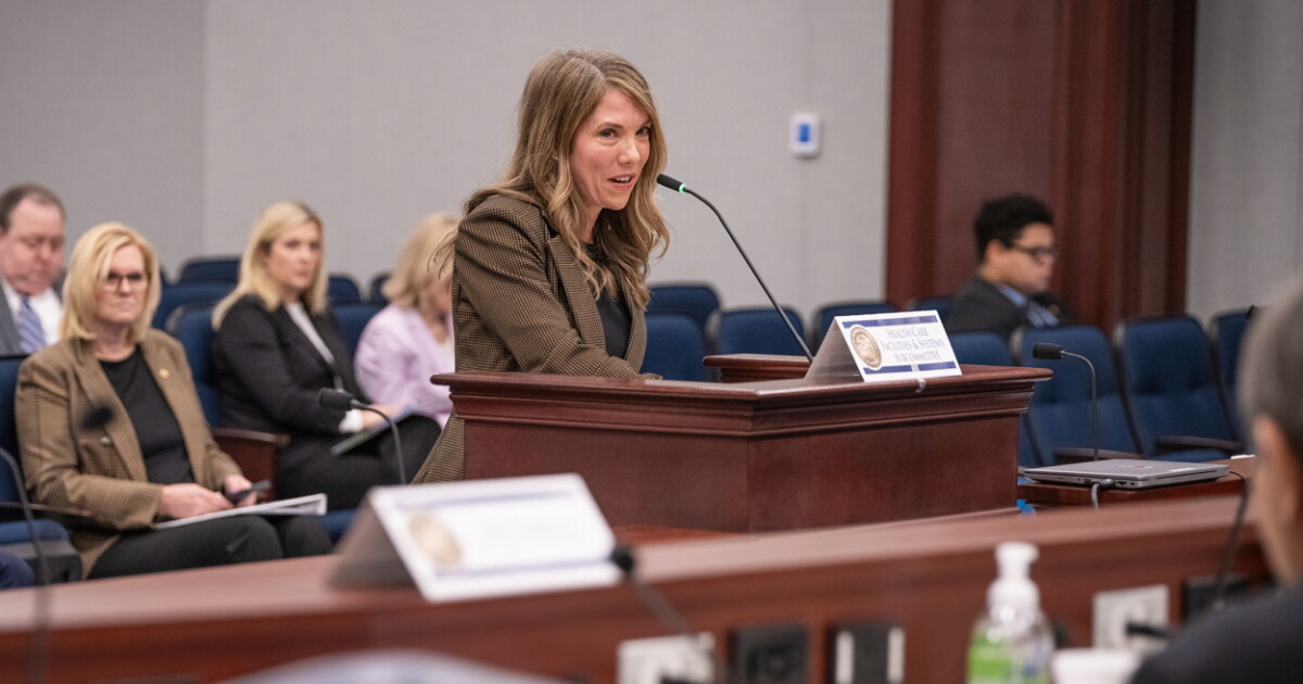 Melissa Radey Florida bill seeks to make state-run children's insurance more 'cost ...