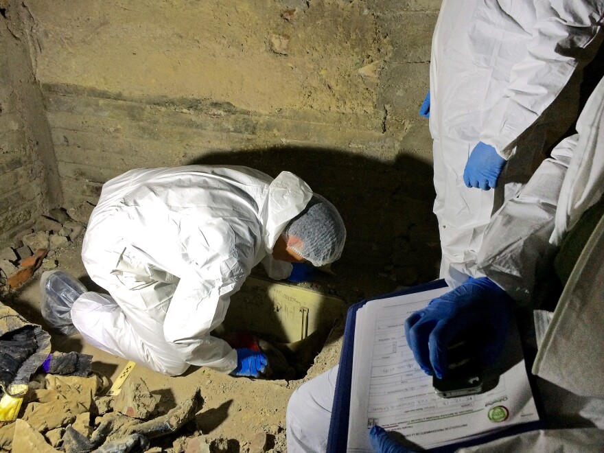 An anthropologist unearths a body at a crime scene in Chihuahua city, Mexico.