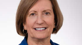 Dr. Teresa Kelechi, Professor and Associate Dean for Research in the College of Nursing at MUSC