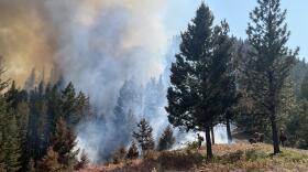 A plume of smoke rises from a grove of pine trees on a high mountain slope. Firefighters are visible in front of the smoke along the perimeter of the fire.